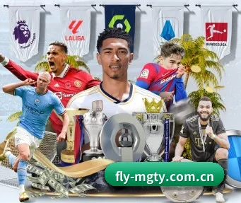 fly-mgty.com.cn APP